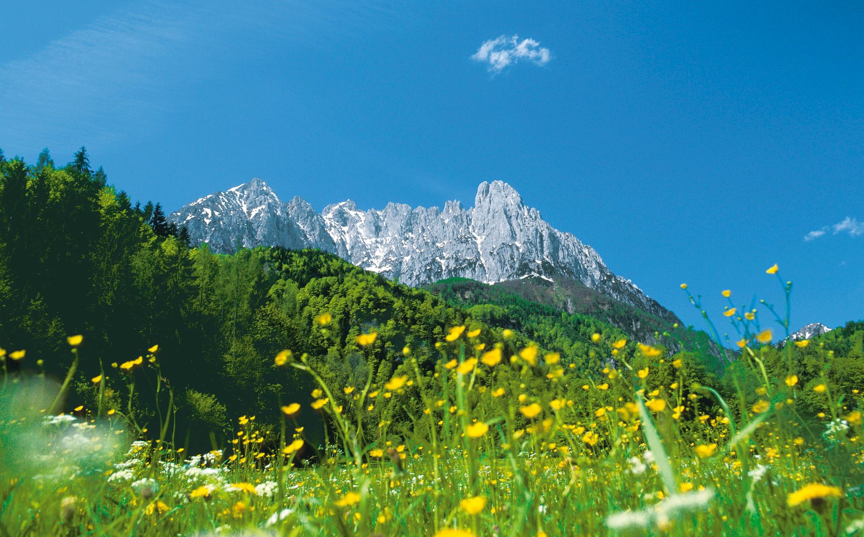 Landschaft