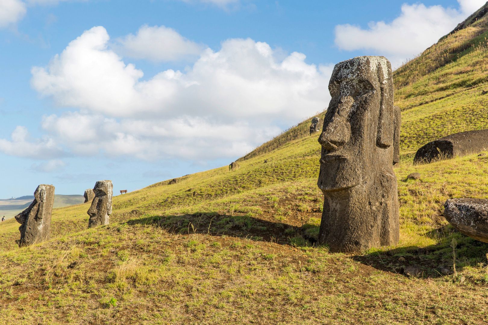 Picture of the hotel Mythos Oster- und Galapagos-Inseln - Die Rundreise Ihrer Träume