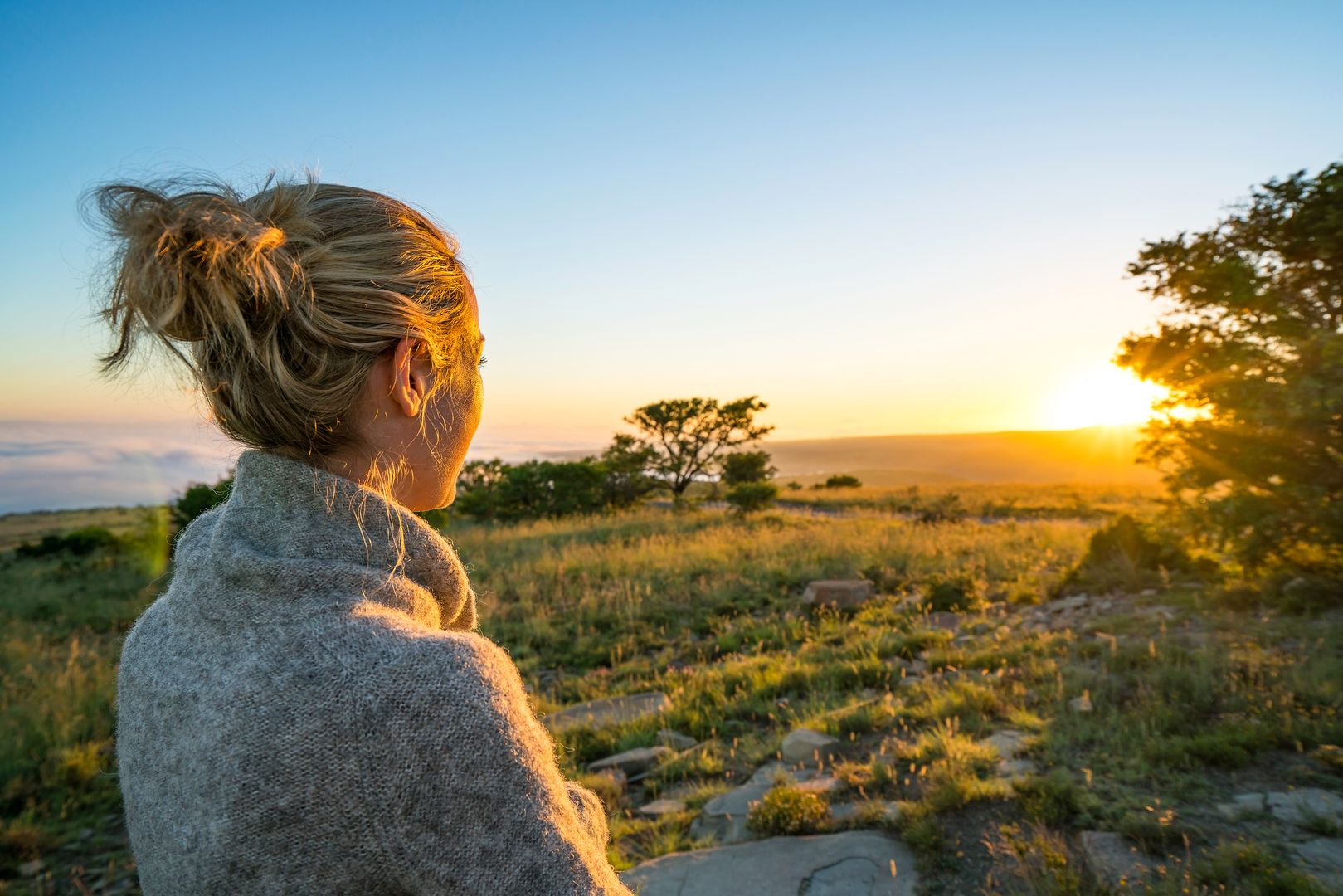 Picture of the hotel Höhepunkte Südafrikas mit Stopover in Doha