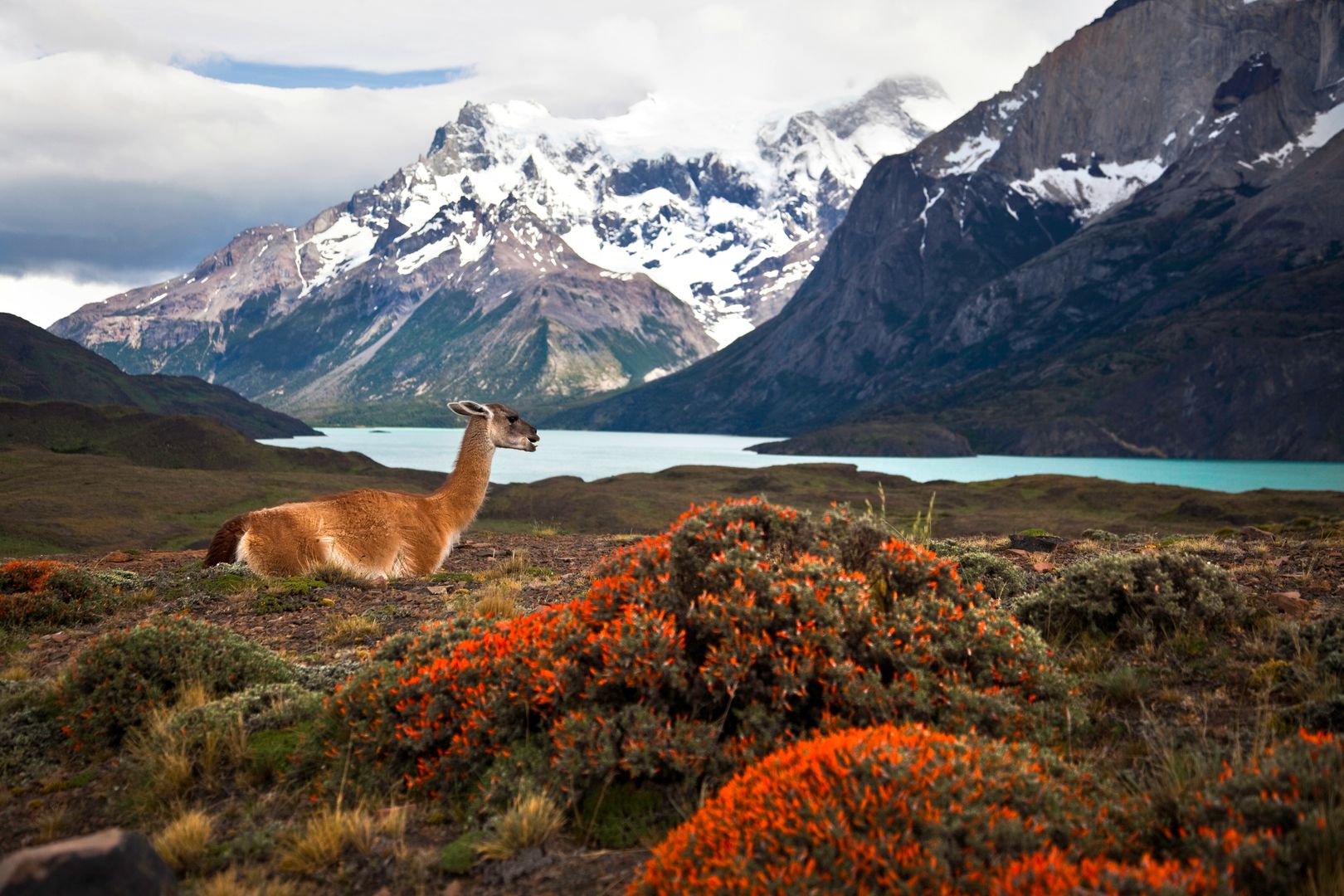 Feuerland & das wilde Patagonien entdecken | sonnenklar.TV