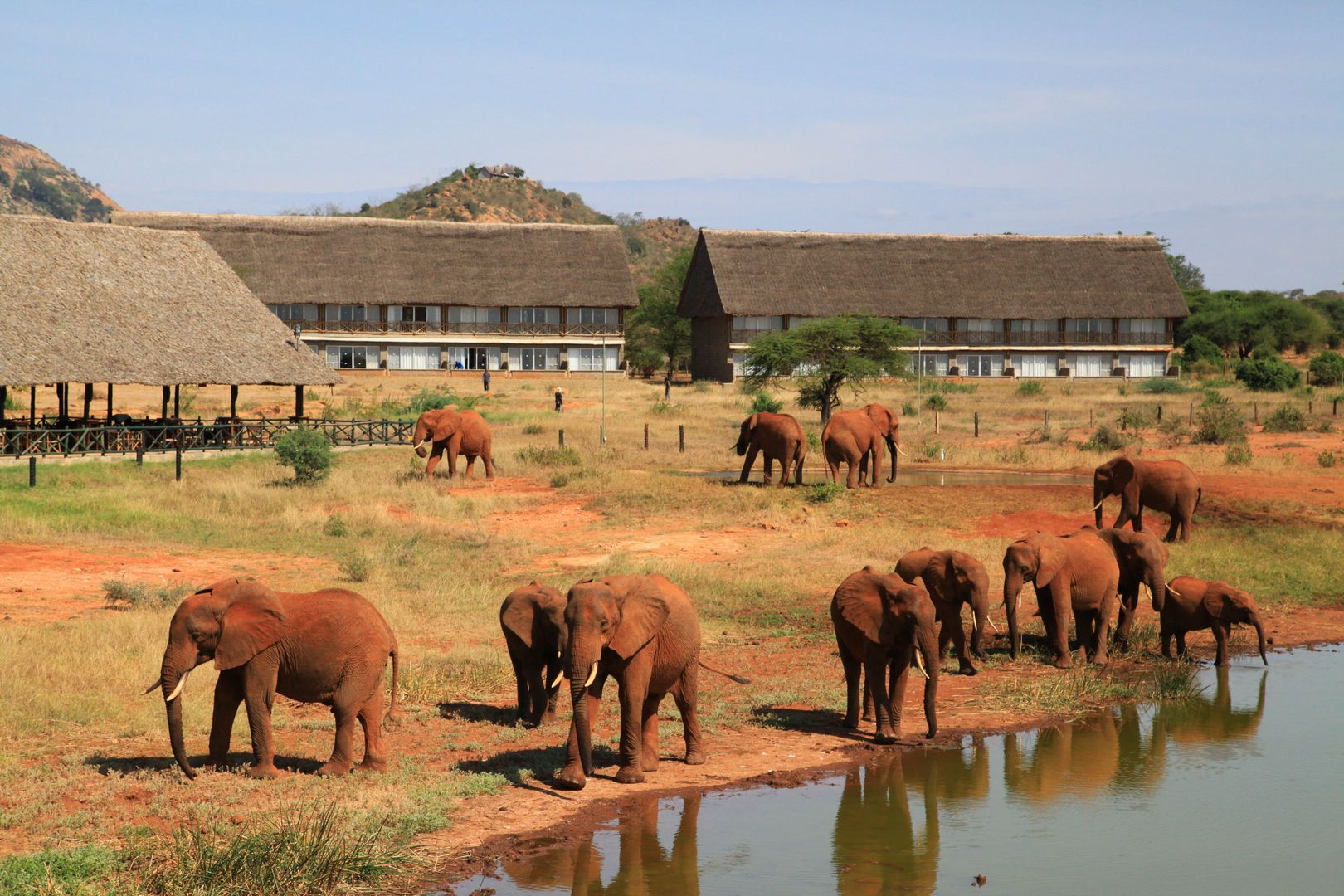 Picture of the hotel 4 Nächte Safarierlebnis in Kenia & Baden im Leopard Beach Resort