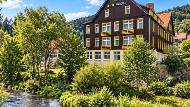 3-Sterne Ferienhotel Forelle - 6=4 Nächte für Anreisen im Januar 2027