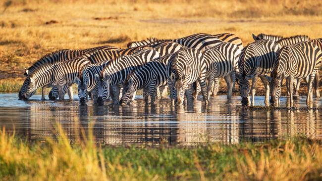 Einzigartige Afrika-Rundreise durch 4 Länder