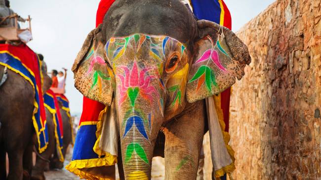 Höhepunkte Rajasthans & Taj Mahal in 5-Sterne-Hotels erleben