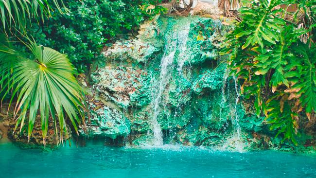 Tropikist Beach Hotel & Resort - Erholung im grünen Garten der Karibik