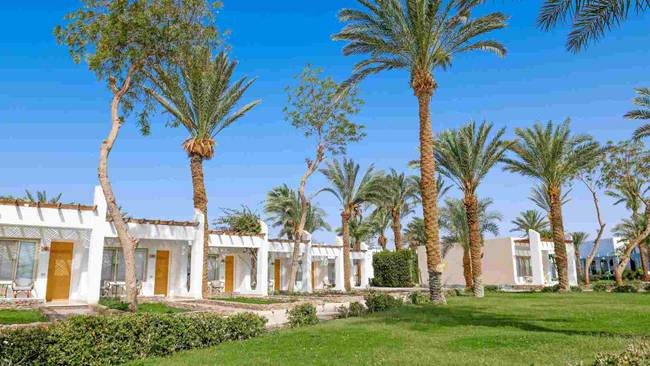 Nilkreuzfahrt Roulette & Menaville Safaga - die aktuell günstigste Nilkombination!