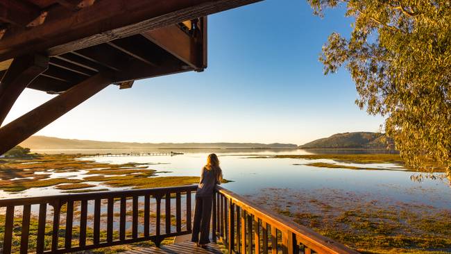 Südafrikas Vielfalt von Kapstadt bis zur Garden Route erleben