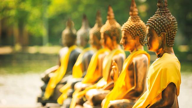 Erlebnis Sri Lanka: Tempel, Hochland und tropische Küste