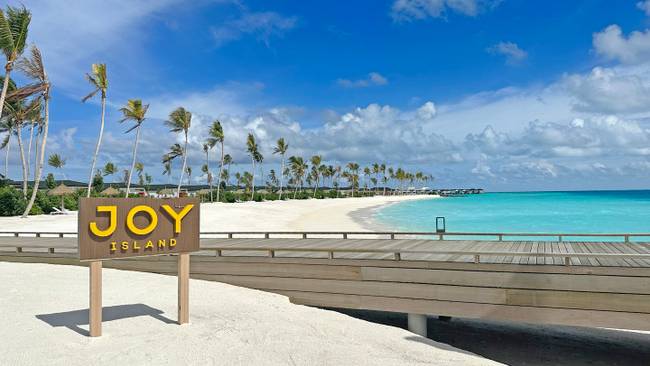 Joy Island by Cocoon Collection